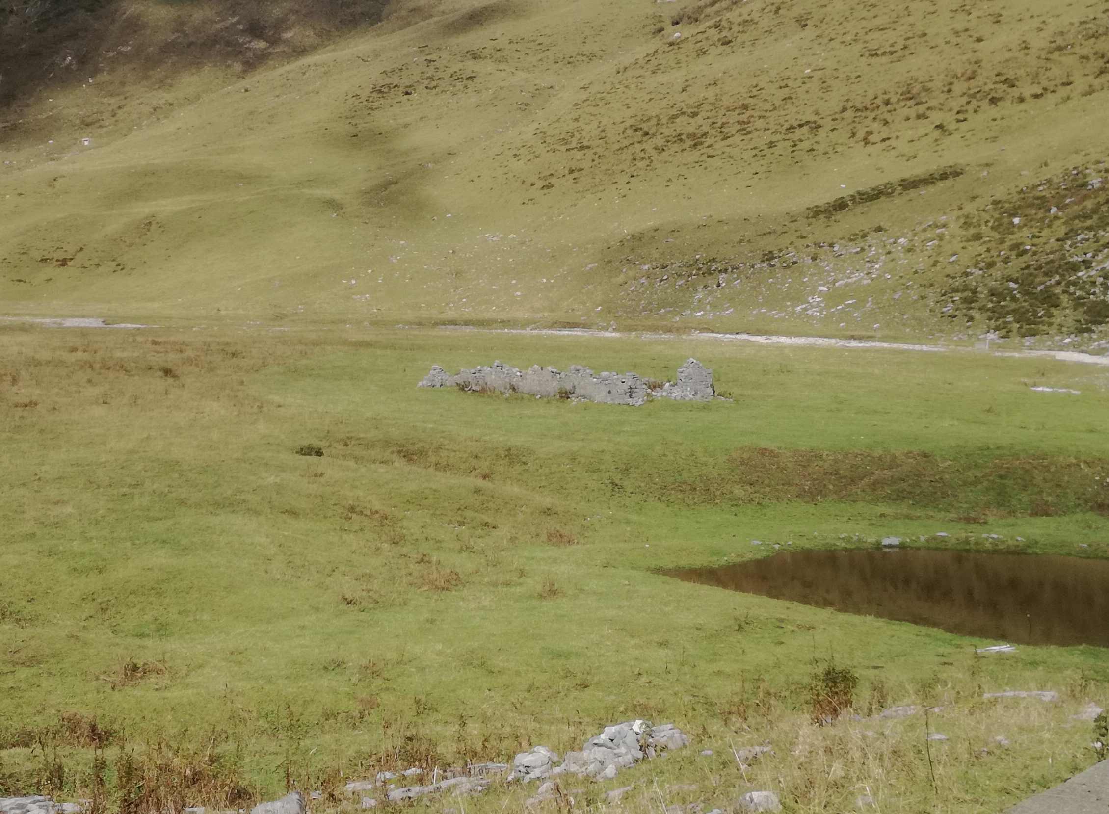 A caccia di Chilostoma nei dintorni del Pizzo Arera